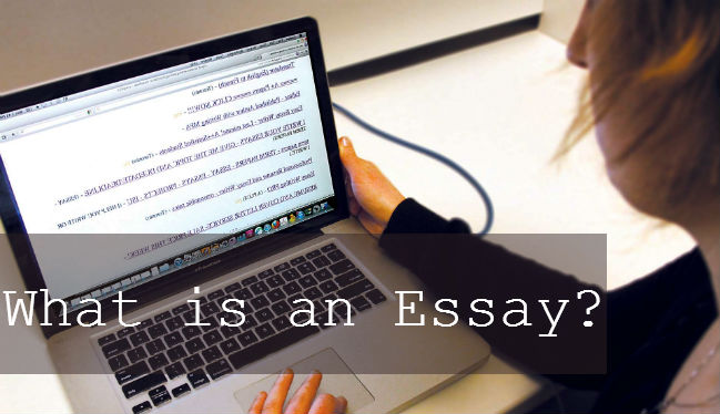 Essay characteristics software engineering